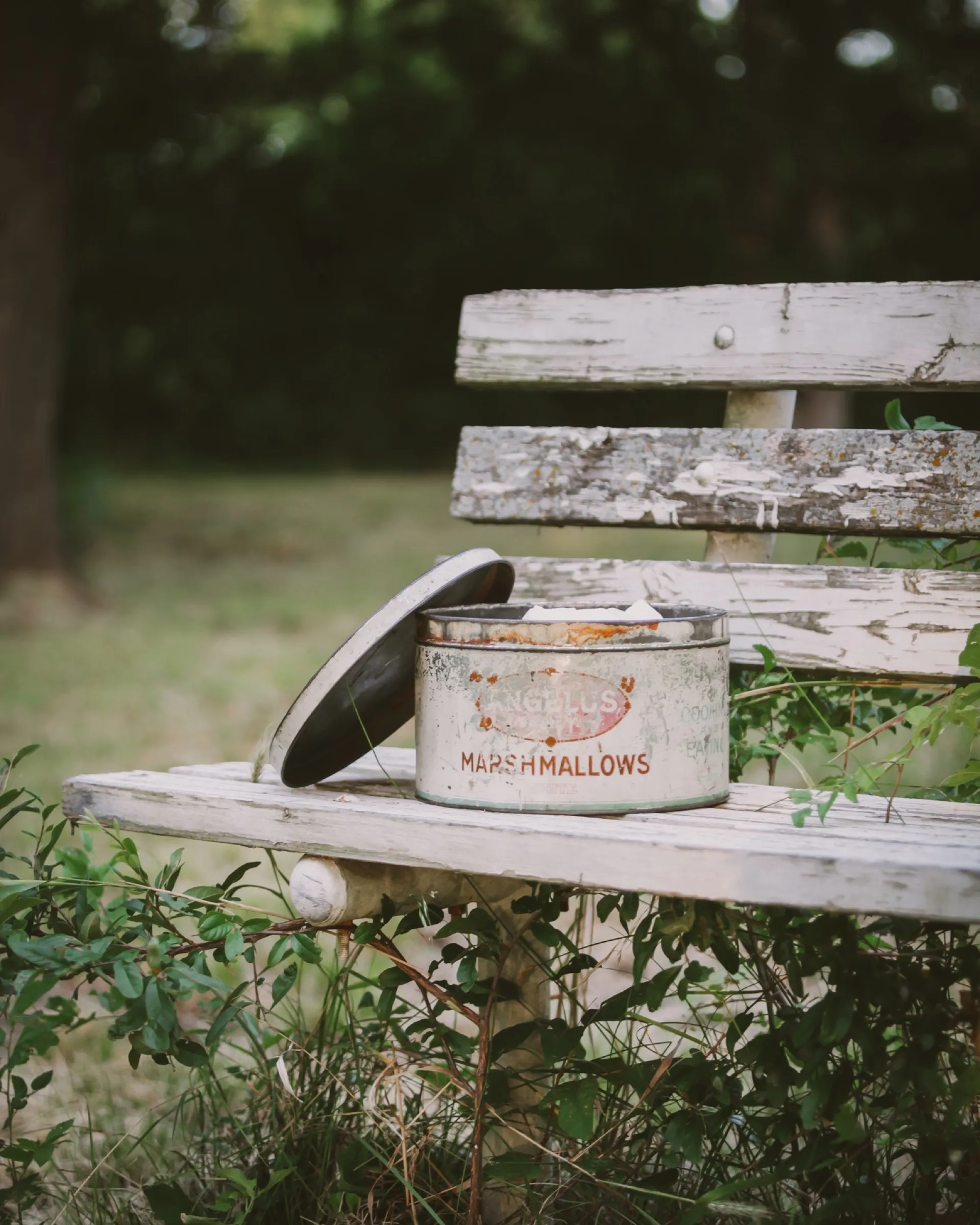 My Paleo Patisserie: An Artisan Approach to Grain Free Baking