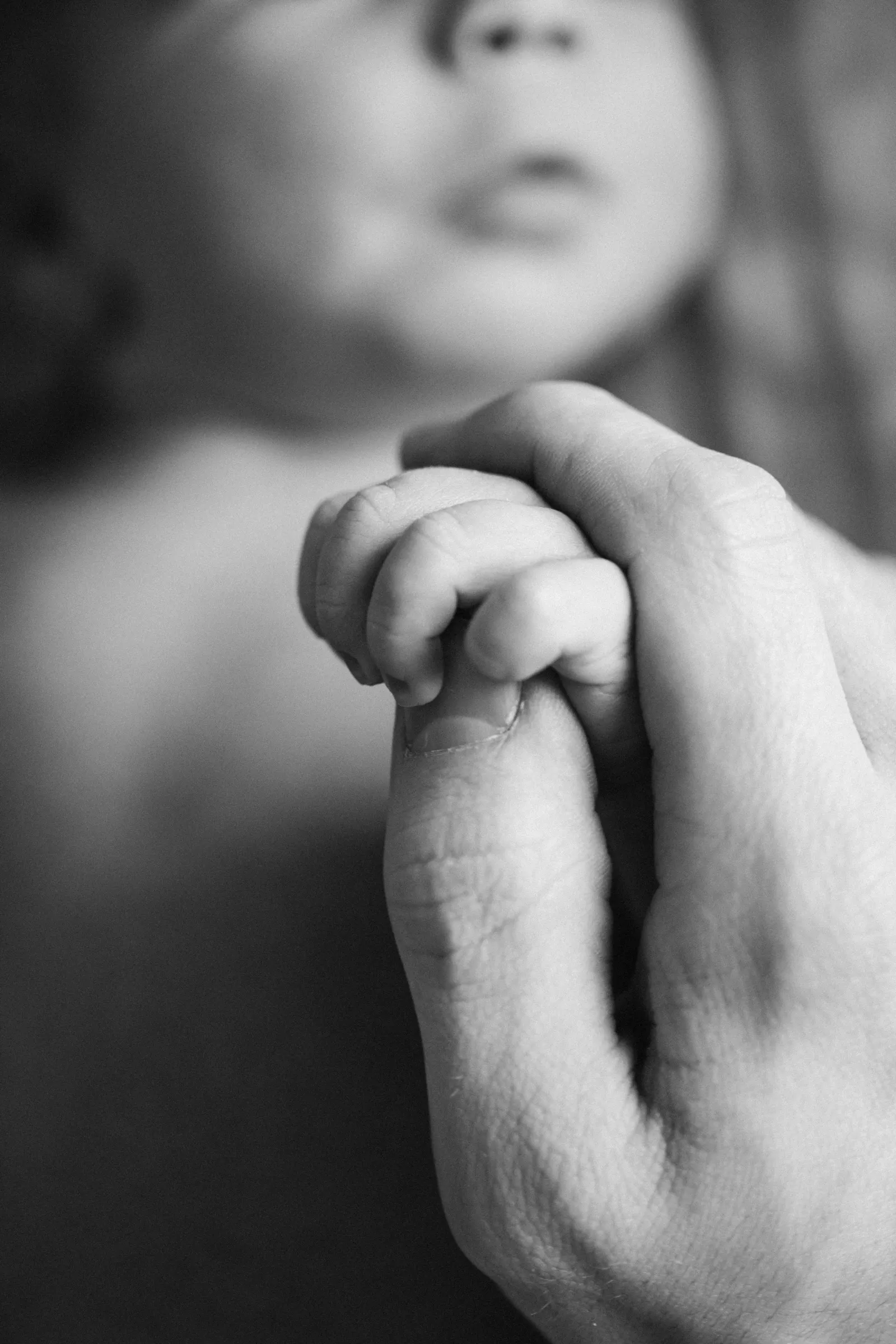 August Newborn — family photography by Jenna Beth Day