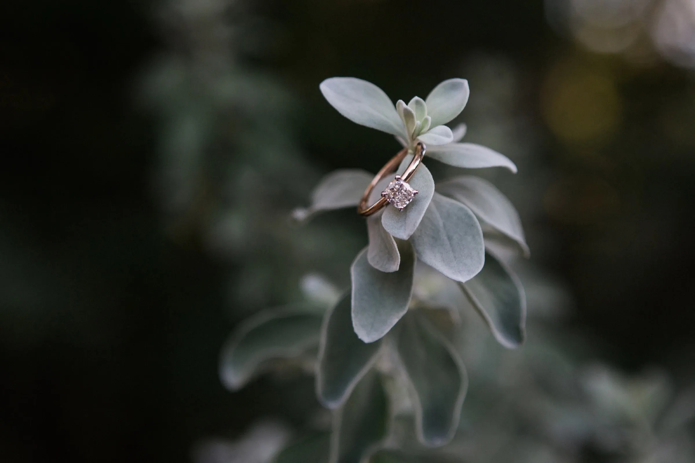 Sterling and Raven's Engagement Ring Rose gold